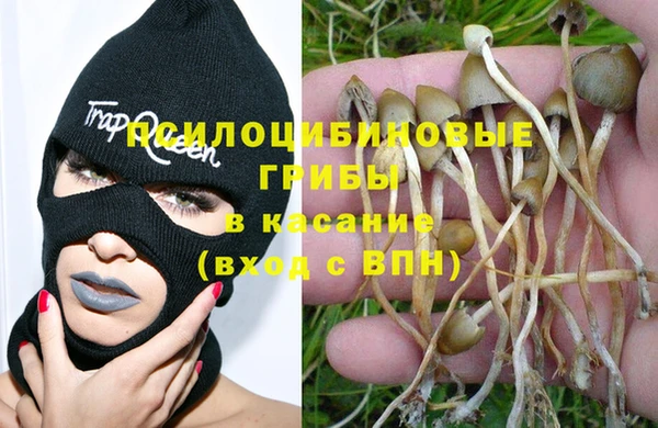 мяу мяу мука Няндома