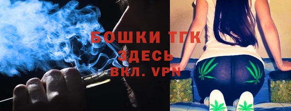 мяу мяу мука Няндома